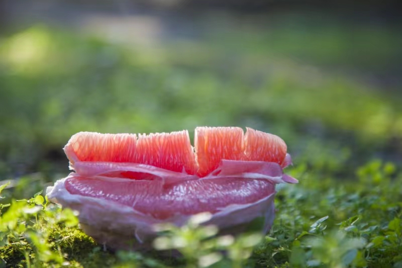 紅心柚照片 1.jpg